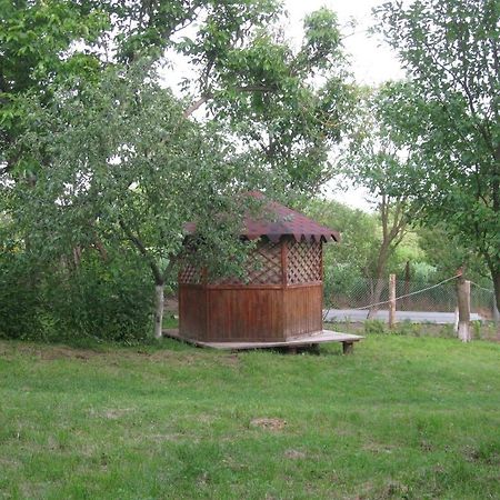 Kалиновий Kущ Dmitrenki Exterior photo